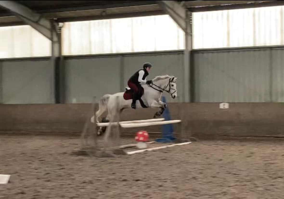 Working Hunter/Arena Eventing – 10th December