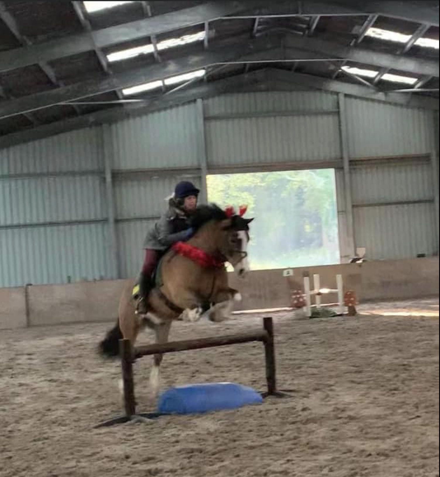 Show Jumping Practice – Sunday 15th December