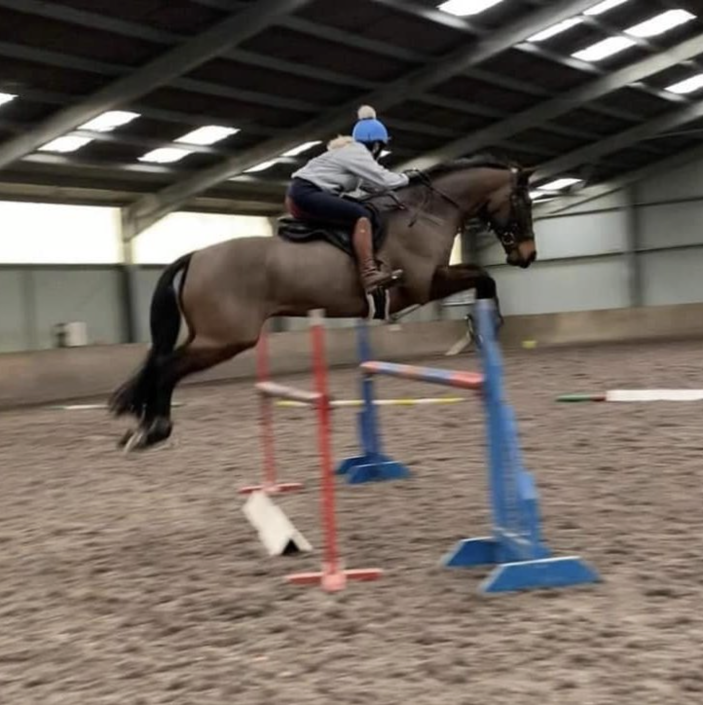 Arena Eventing/ Working Hunter – 21st January